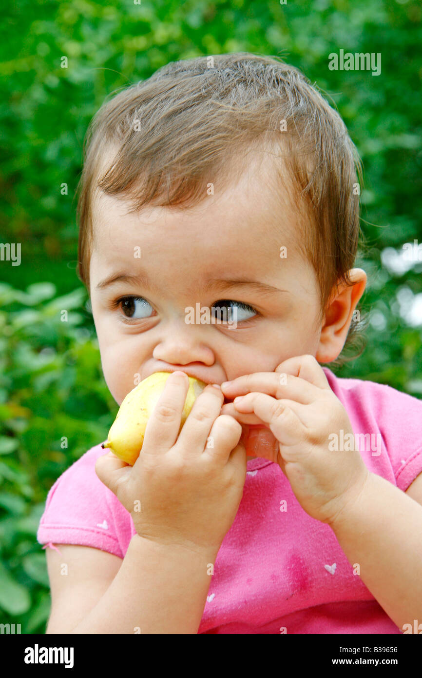 Baby eating a pear Stock Photo Alamy