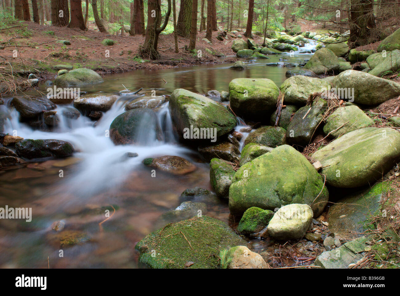 Stream of a creek in forest with stones around low view Stock Photo