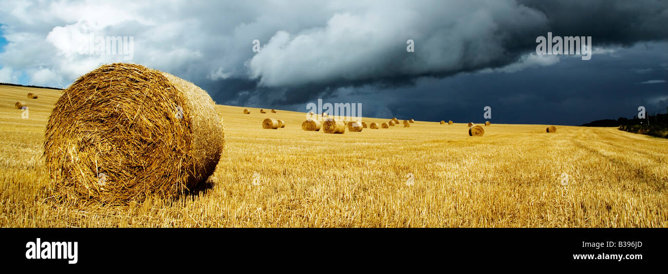 Hay bales in field with stormy sky Stock Photo - Alamy