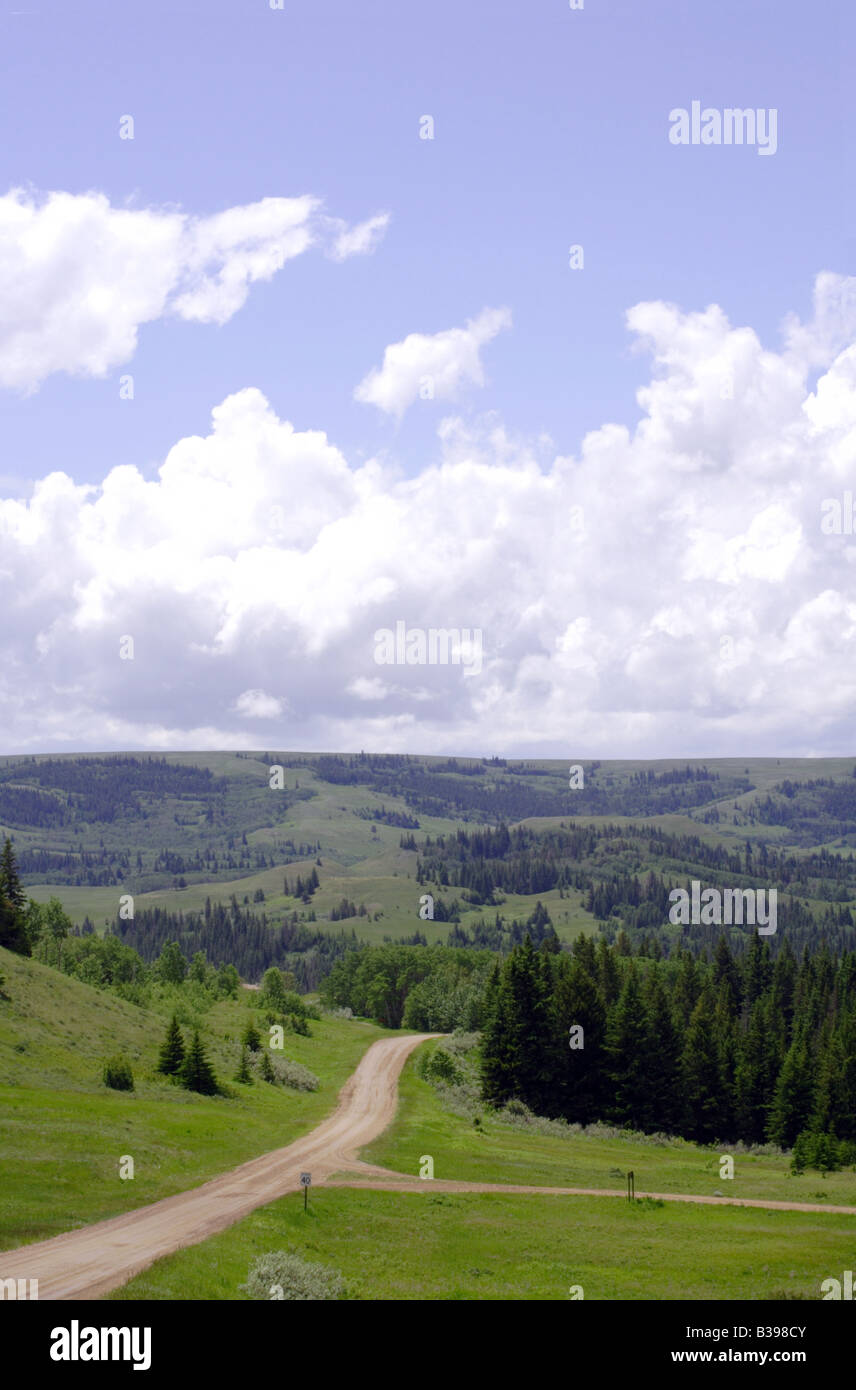 Road to Cypress Hills Interprovincial Park at the border of