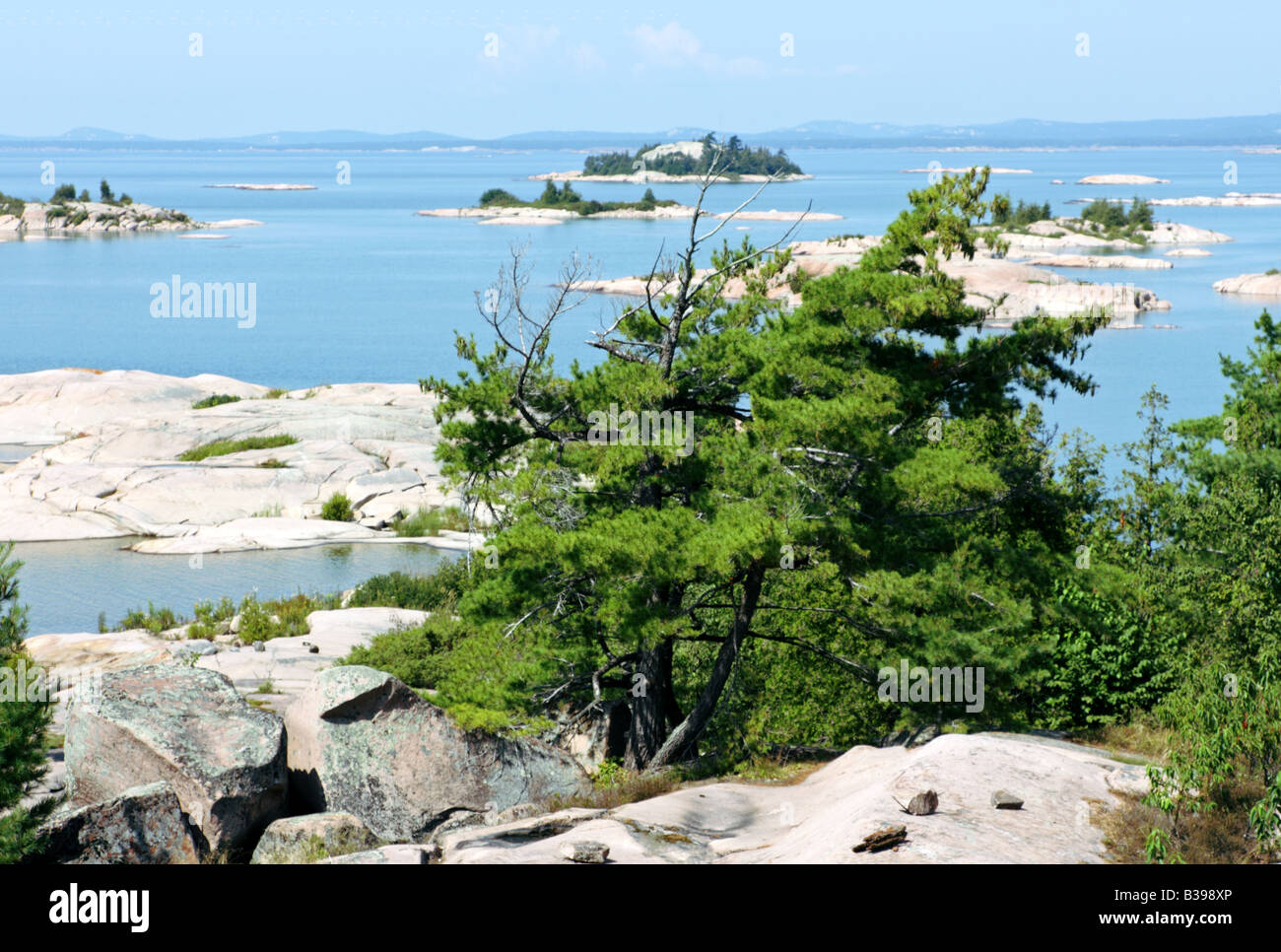 Wind swept pine trees on granite bedrock island among Thirty Thousand Islands in Georgian Bay Ontario Stock Photo