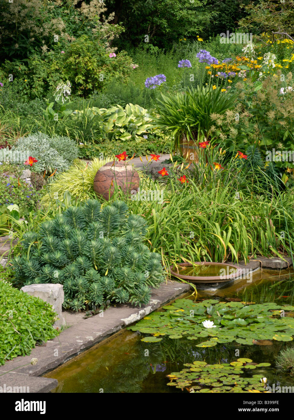 Spurges (Euphorbia), day lilies (Hemerocallis) and African lily (Agapanthus) Stock Photo