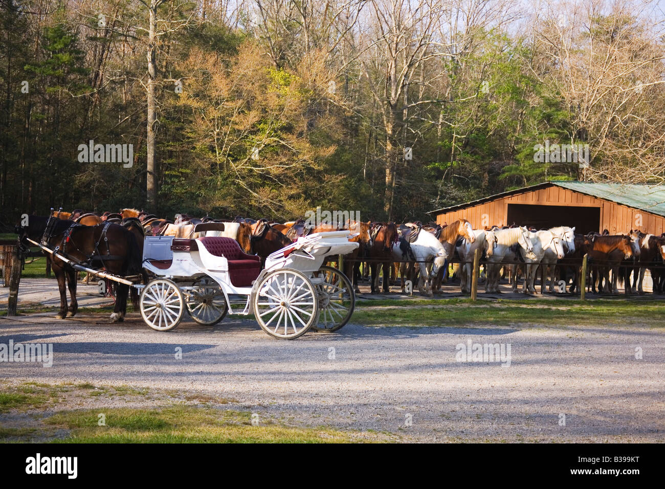 Cades cove carriage hires stock photography and images Alamy