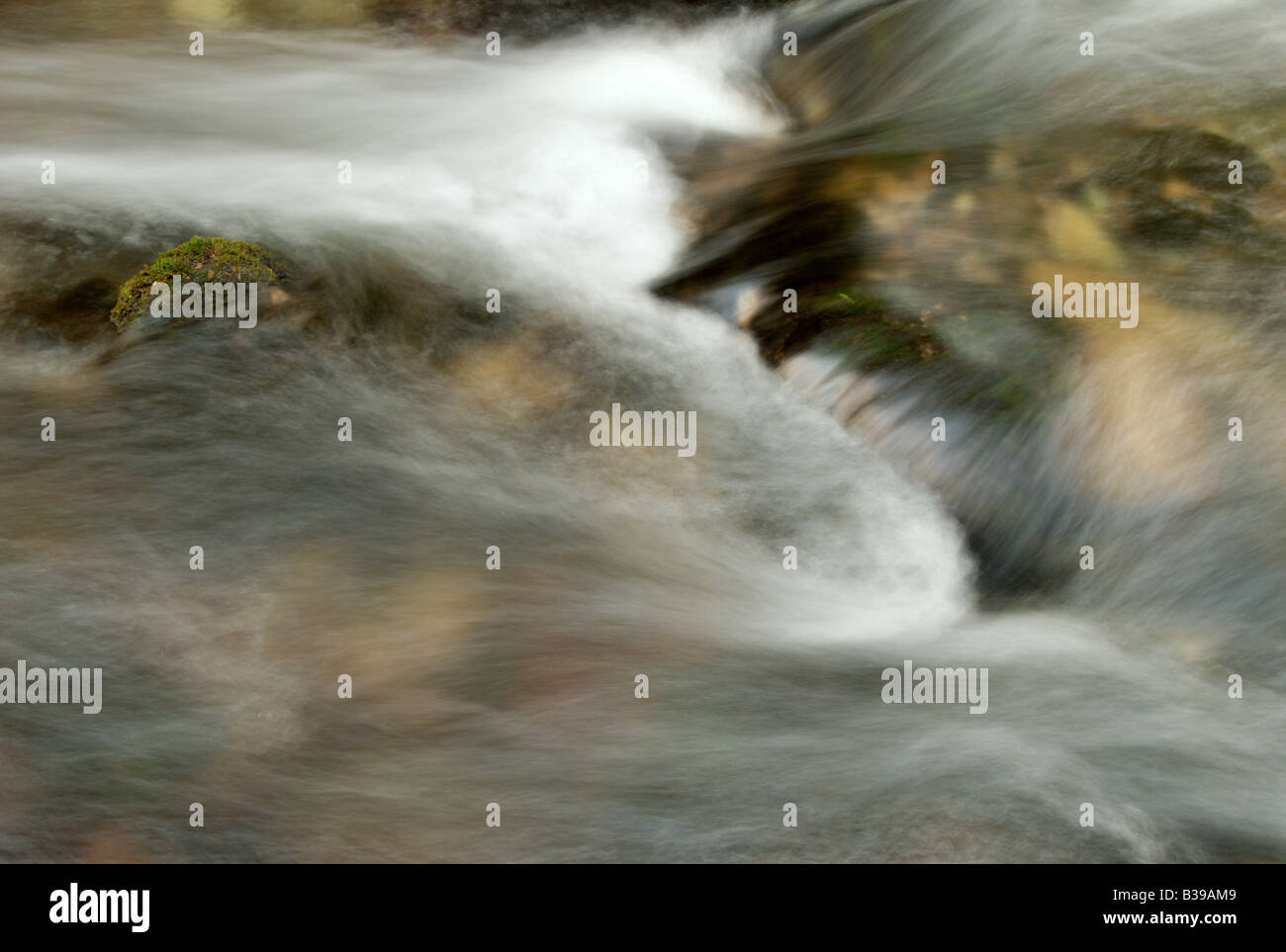 detail of stream Stock Photo
