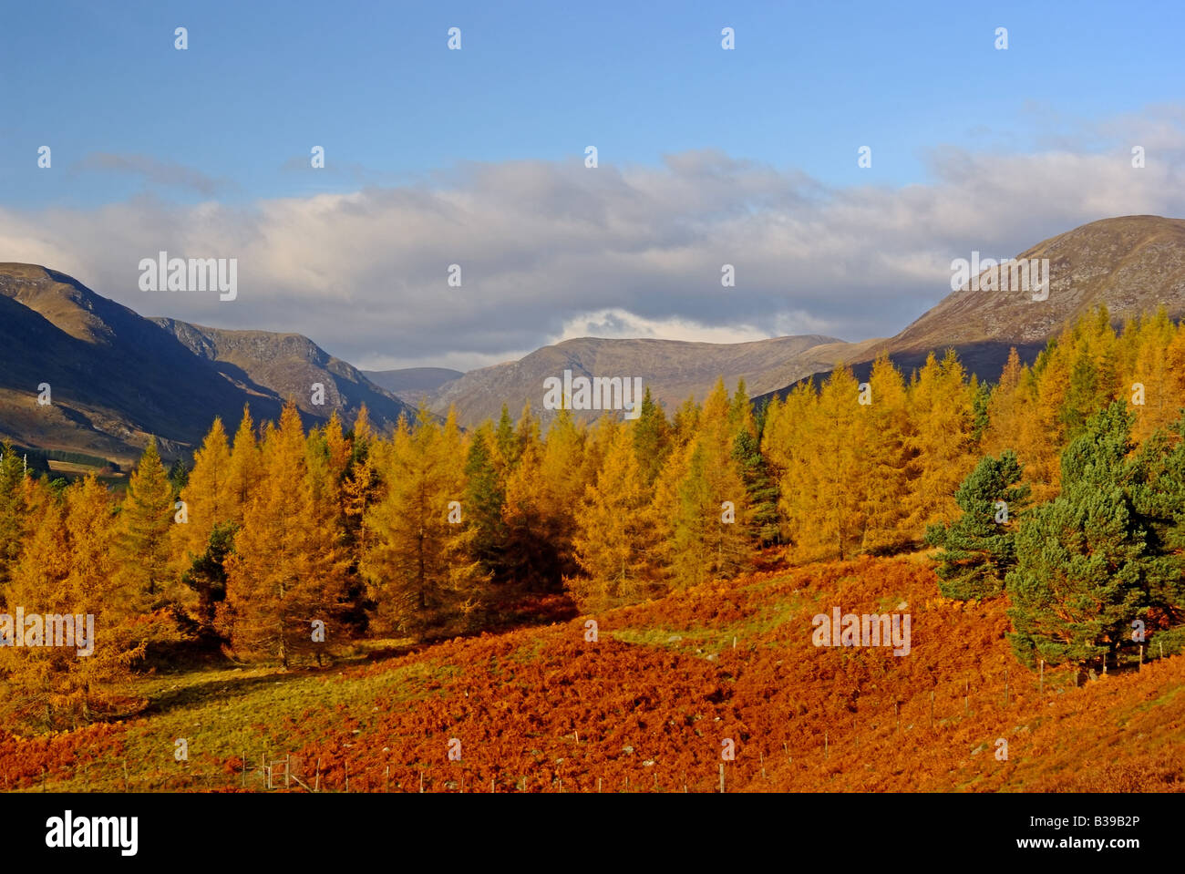 uk scotland angus glen clova and grampian mountains in autumn Stock