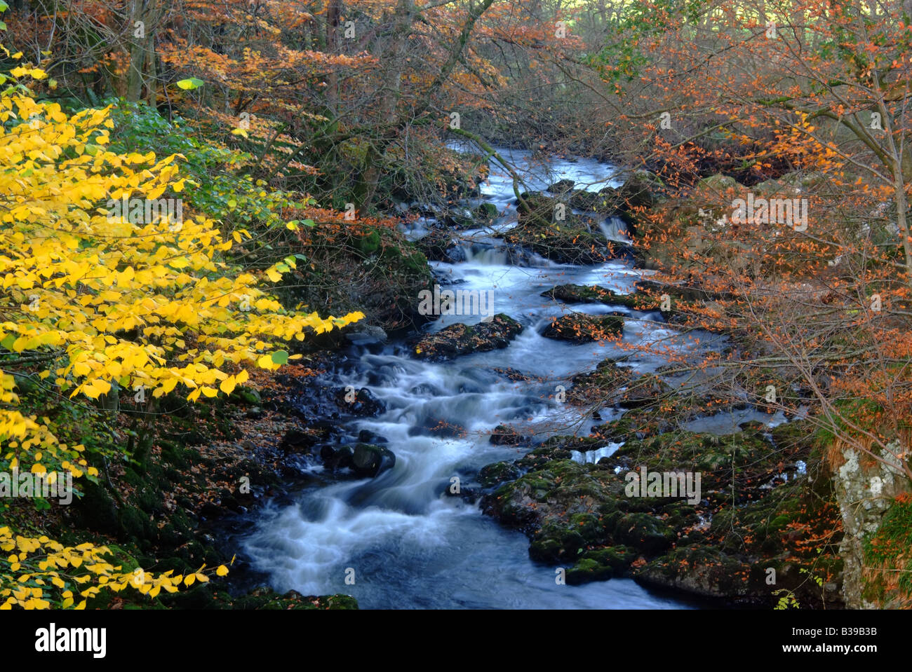 uk scotland tayside angus prosen water near kirriemuir Stock Photo