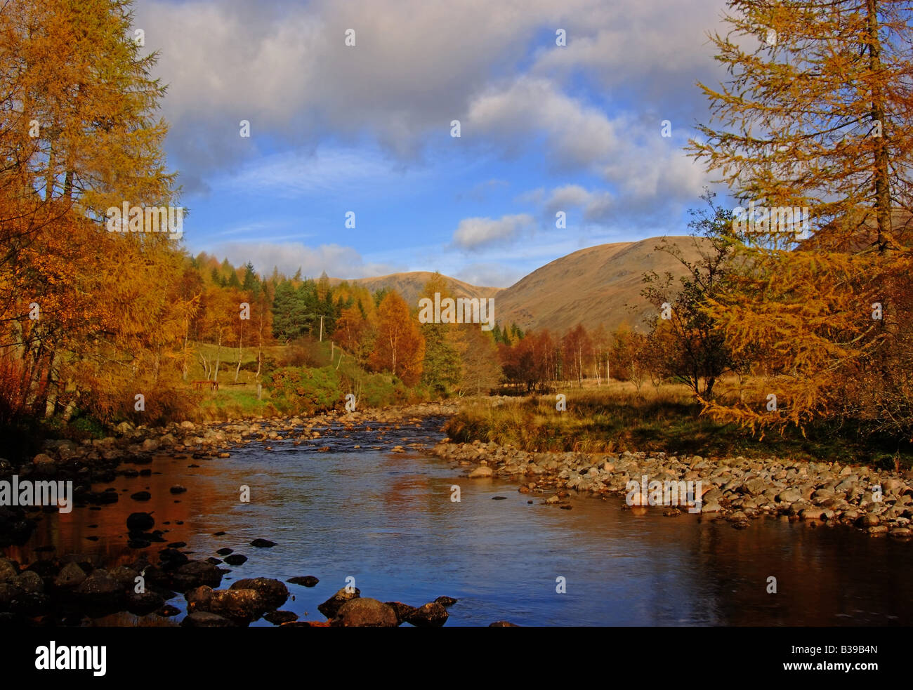uk scotland angus the river clova and the grampian mountains in autumn Stock Photo