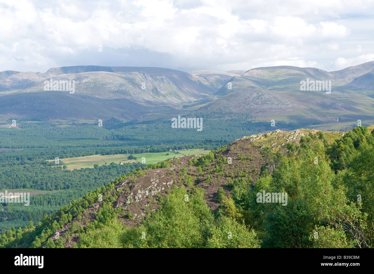 The Cairngorm Mountains from Craigellachie hill at Aviemore Inverness-shire Stock Photo