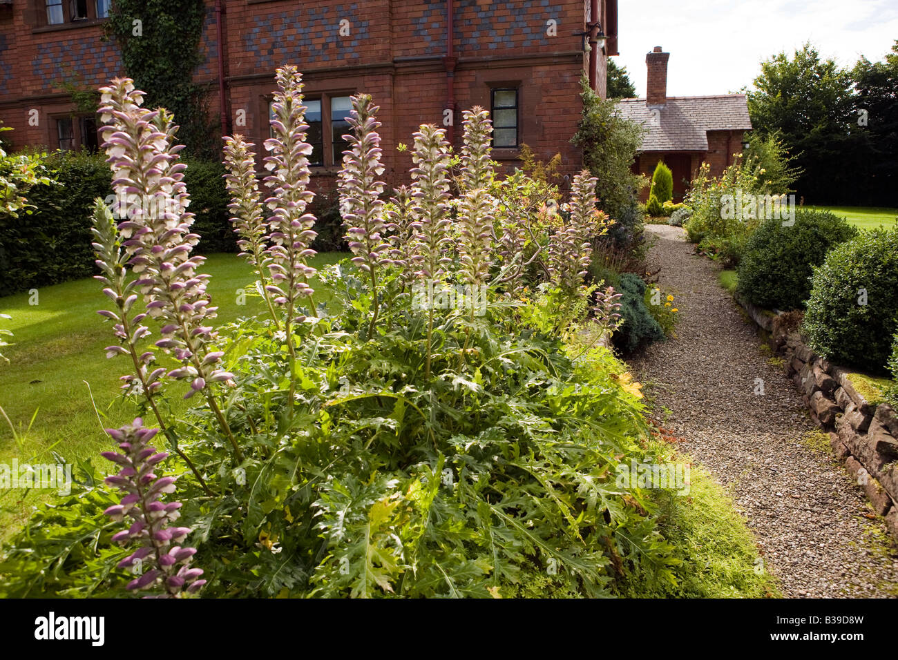 UK Cheshire Aldford flower lined front garden path of Eaton Hall Estate cottage Stock Photo