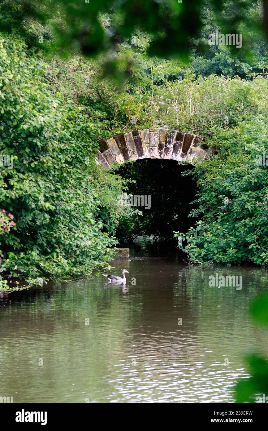 Bridge connecting two islands on hires stock photography and images