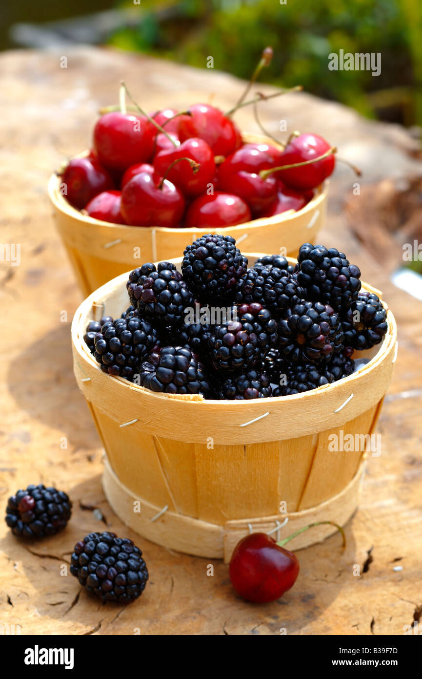 punet of fresh picked orgainic blackberries and cherries Stock Photo