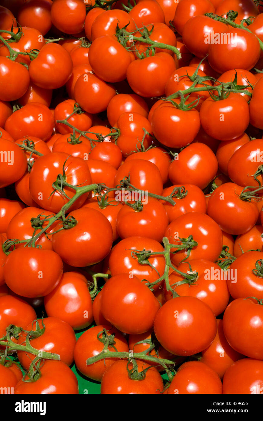 Ripe red field tomatoes for sale at a farmer's market Stock Photo - Alamy