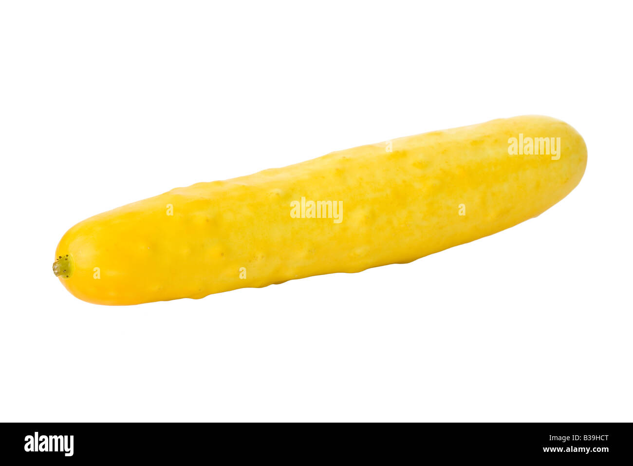 Ripe cucumber isolated on a white background Stock Photo Alamy