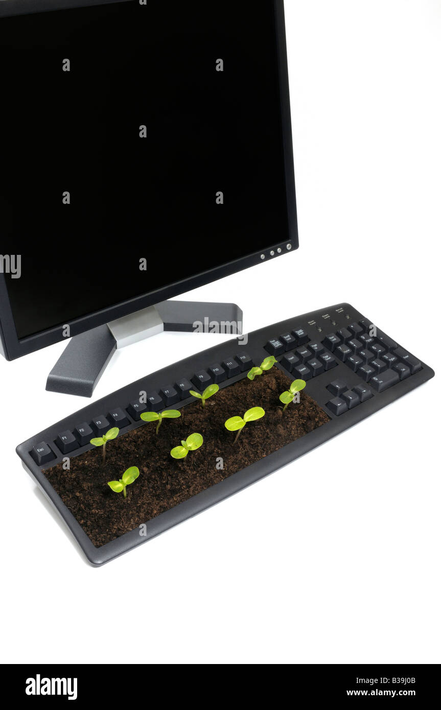 Computer Seeding Desktop computer and screen with seedlings growing out of the keyboard ...