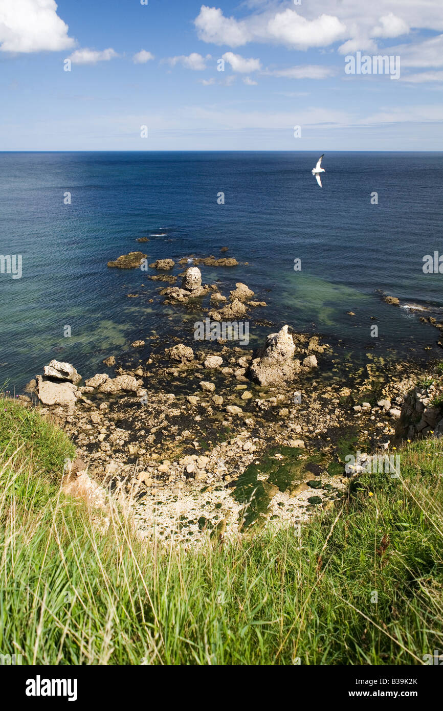 Marsden rocks on the coastline between Sunderland and South Shields in northeast England. Stock Photo