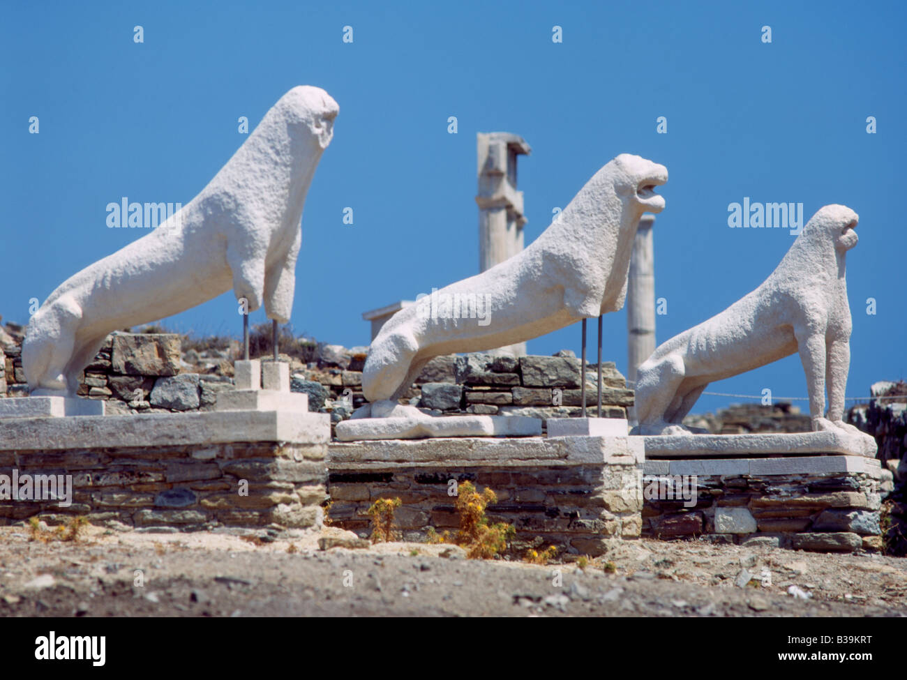 Greece Cyclades Delos Terrace of the Lions Stock Photo - Alamy