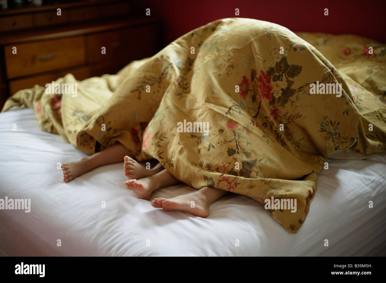 Brother and sister underneath covers of parent s bed Girl aged 5 and boy 6 Stock Photo