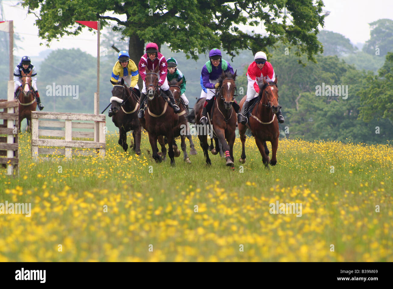 Point To Horse Uk Hires Stock Photography And Images Alamy Point To Horse Uk Hires Stock Photography And Images Alamy