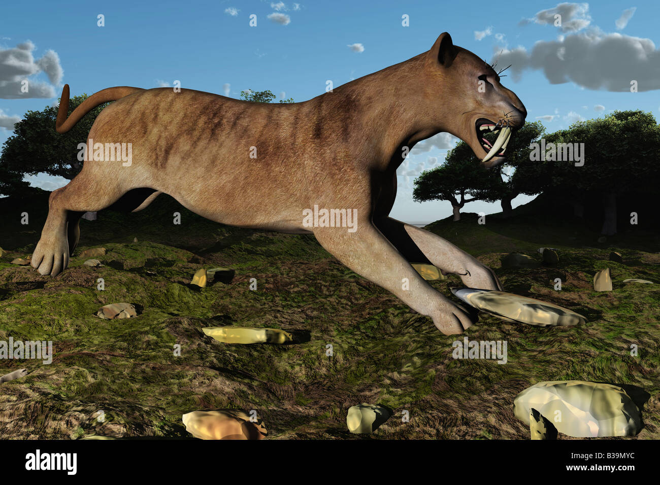 Sabertooth Hi Res Stock Photography And Images Alamy