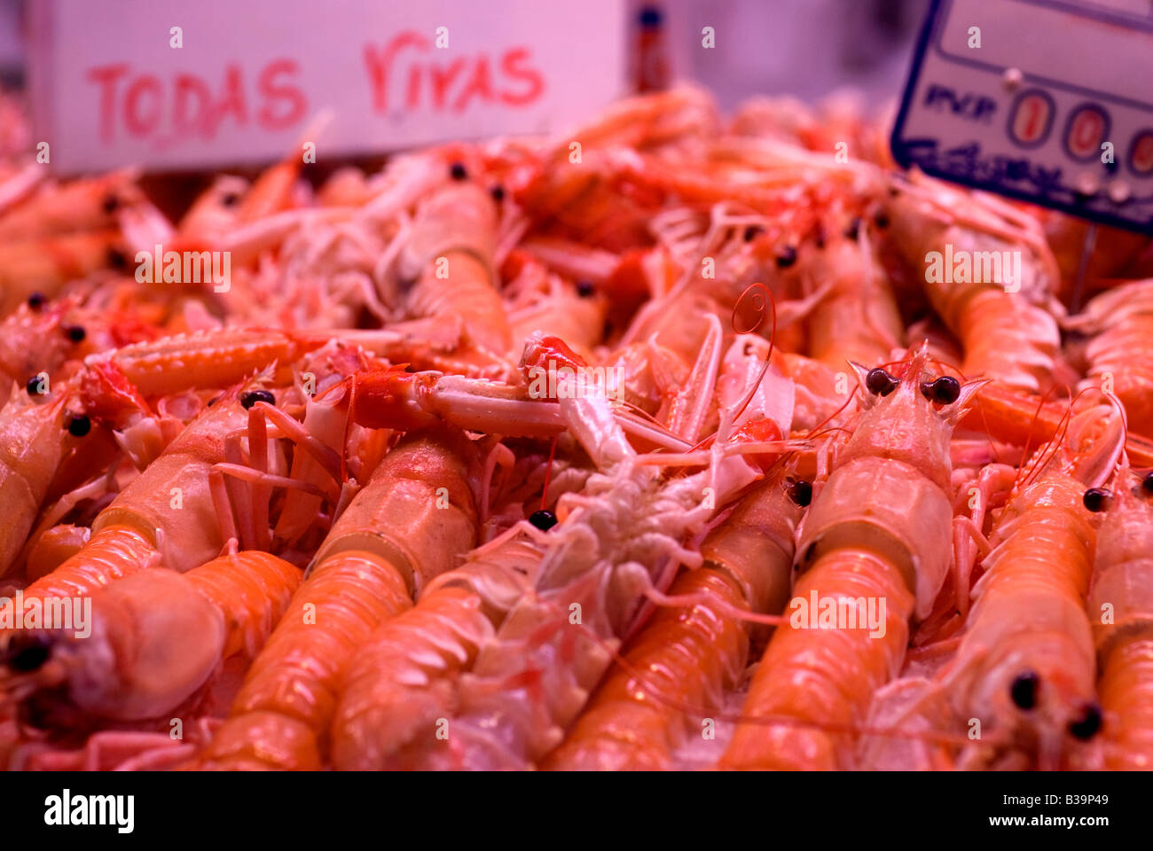 Alive king prawns are sold at the Central Market in Valencia, Spain Stock Photo