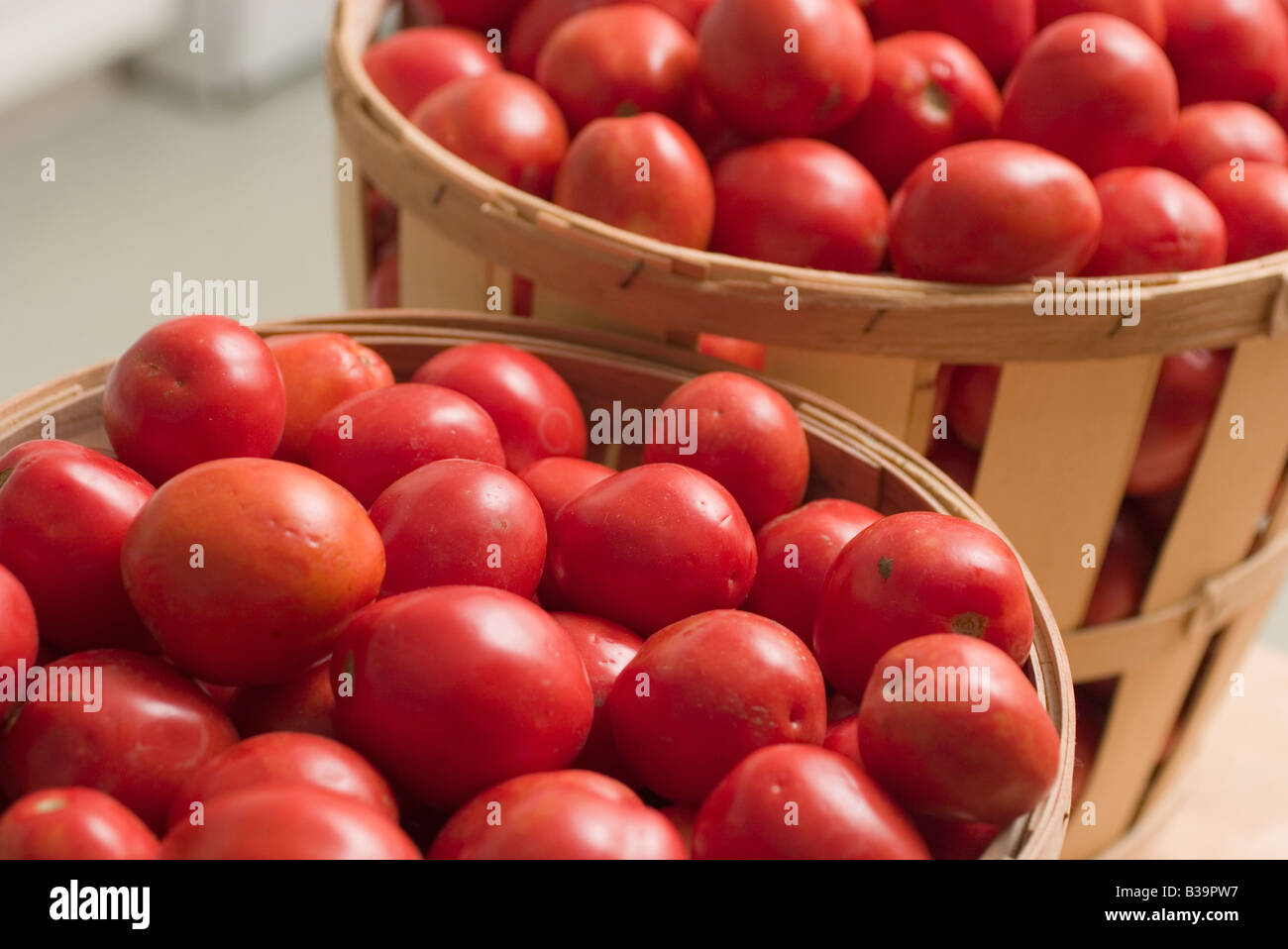 A bushel of Plum Tomatoes used for making sauces and pastes Stock Photo