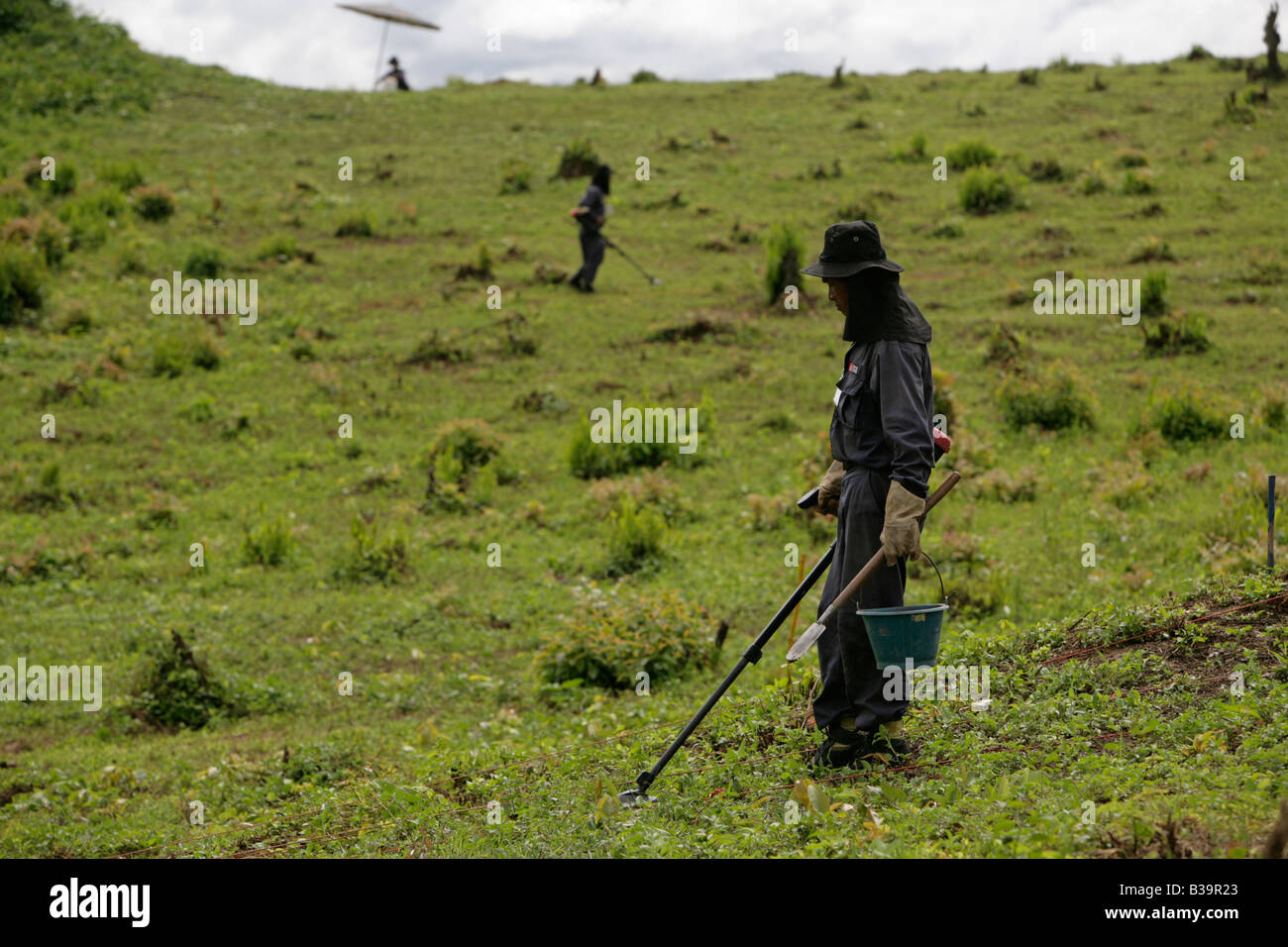 UXO Clearance,Xieng Khouang province,Laos.MAG staff use new CEIA detector,to locate and mark suspect metallic items. Stock Photo