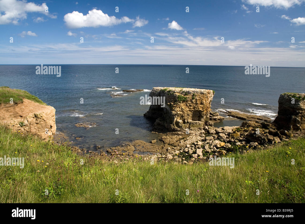 Marsden rocks on the coastline between Sunderland and South Shields in northeast England Stock Photo