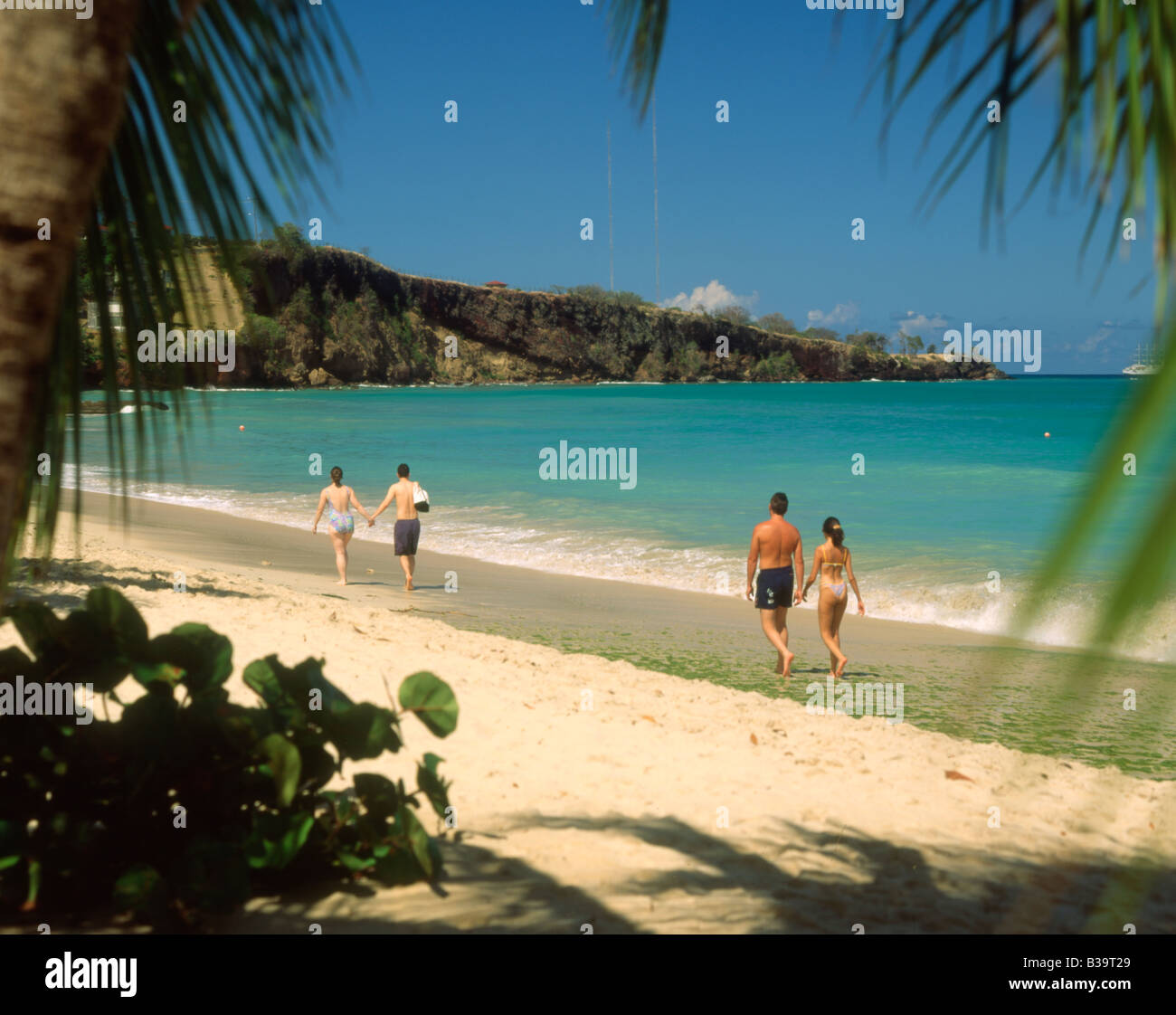 Caribbean Grenada Grand Anse beach Stock Photo Alamy
