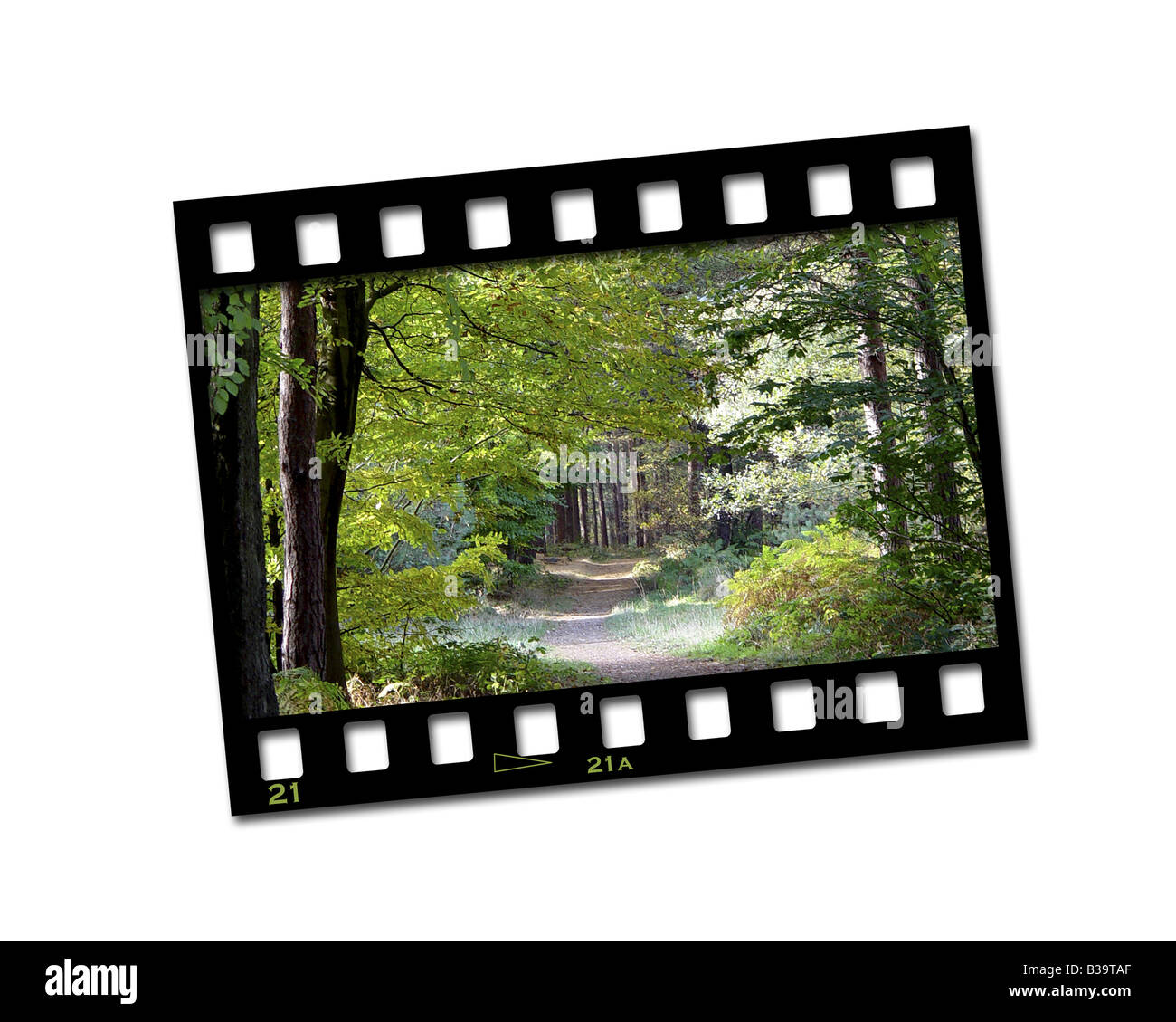 Filmstrip with countryside image Stock Photo