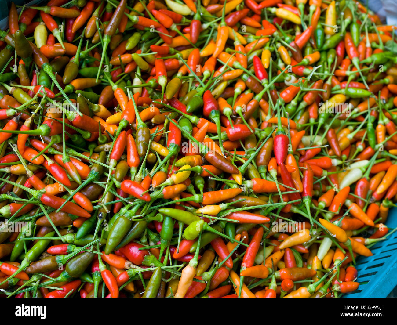 Selling Chillies High Resolution Stock Photography and Images - Alamy