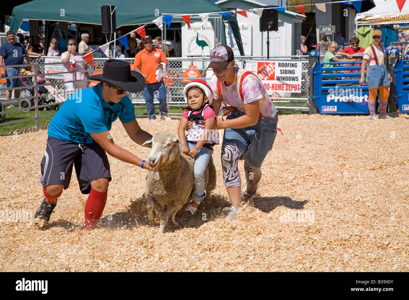 Sheep Ranching Stock Photos & Sheep Ranching Stock Images Alamy
