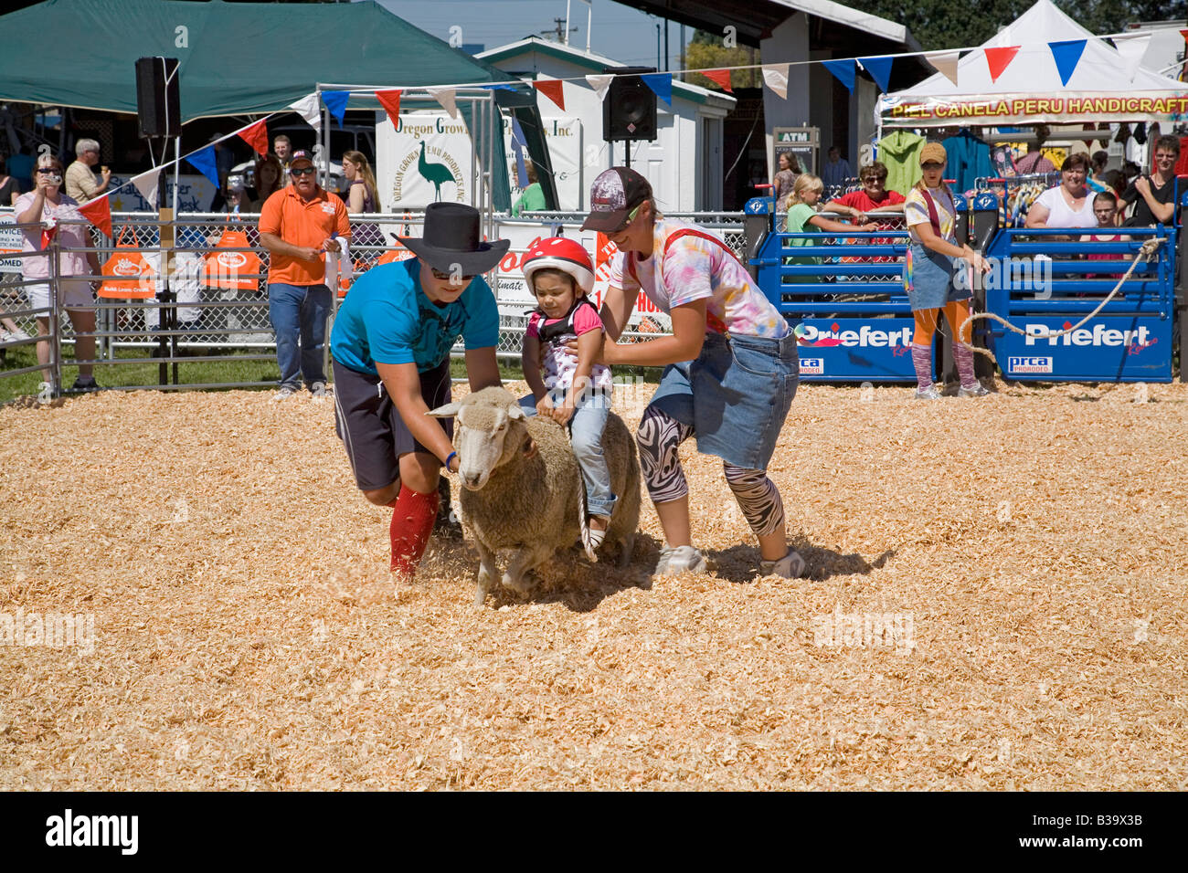 Sheep Ranching Stock Photos & Sheep Ranching Stock Images Alamy