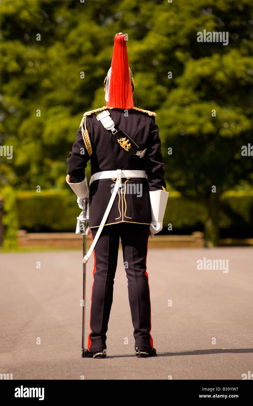 Bandsman of the Blues and Royals, British Army band Stock Photo