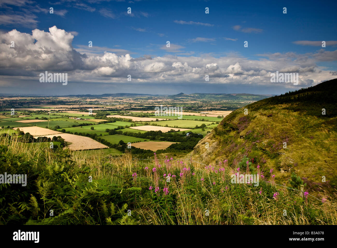 Roseberry Topping from Carlton Bank looking across Stokesley Plain North Yorkshire Stock Photo
