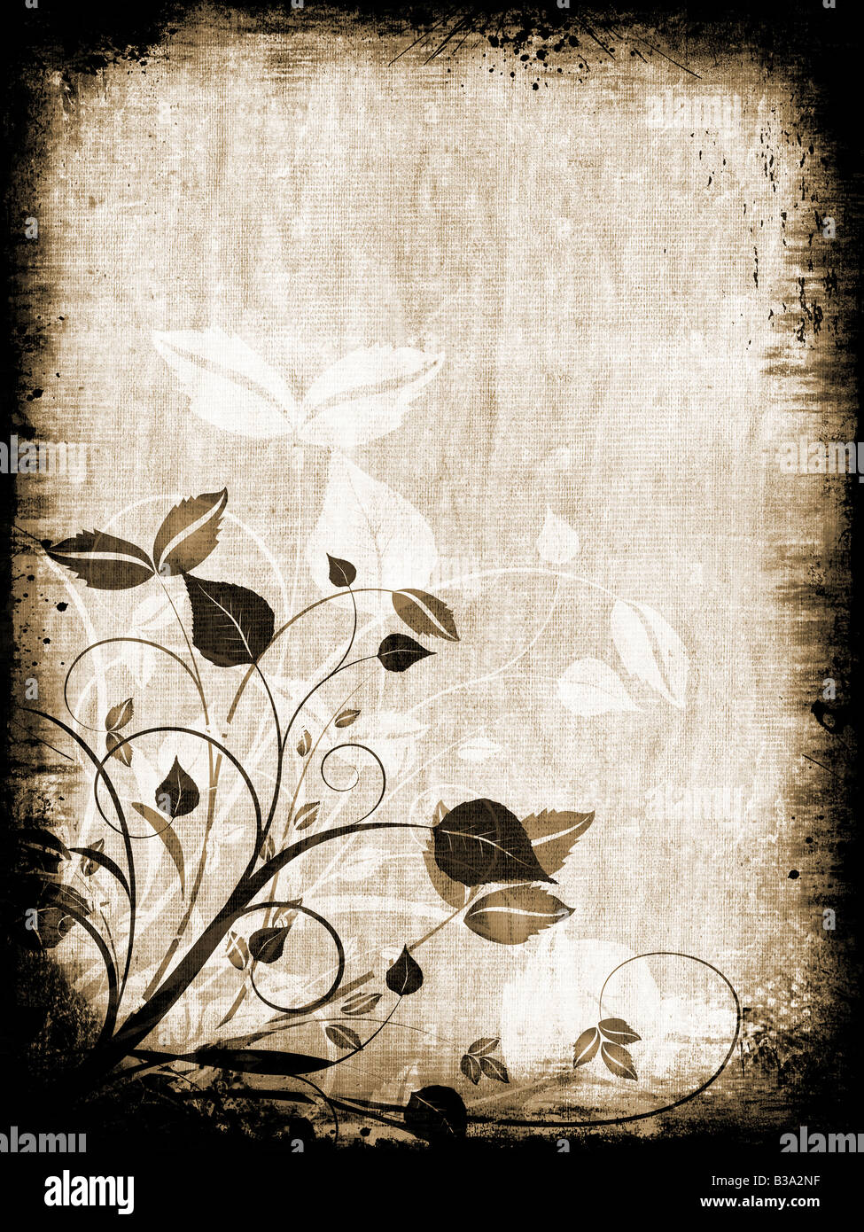 Abstract floral design on grunge background Stock Photo