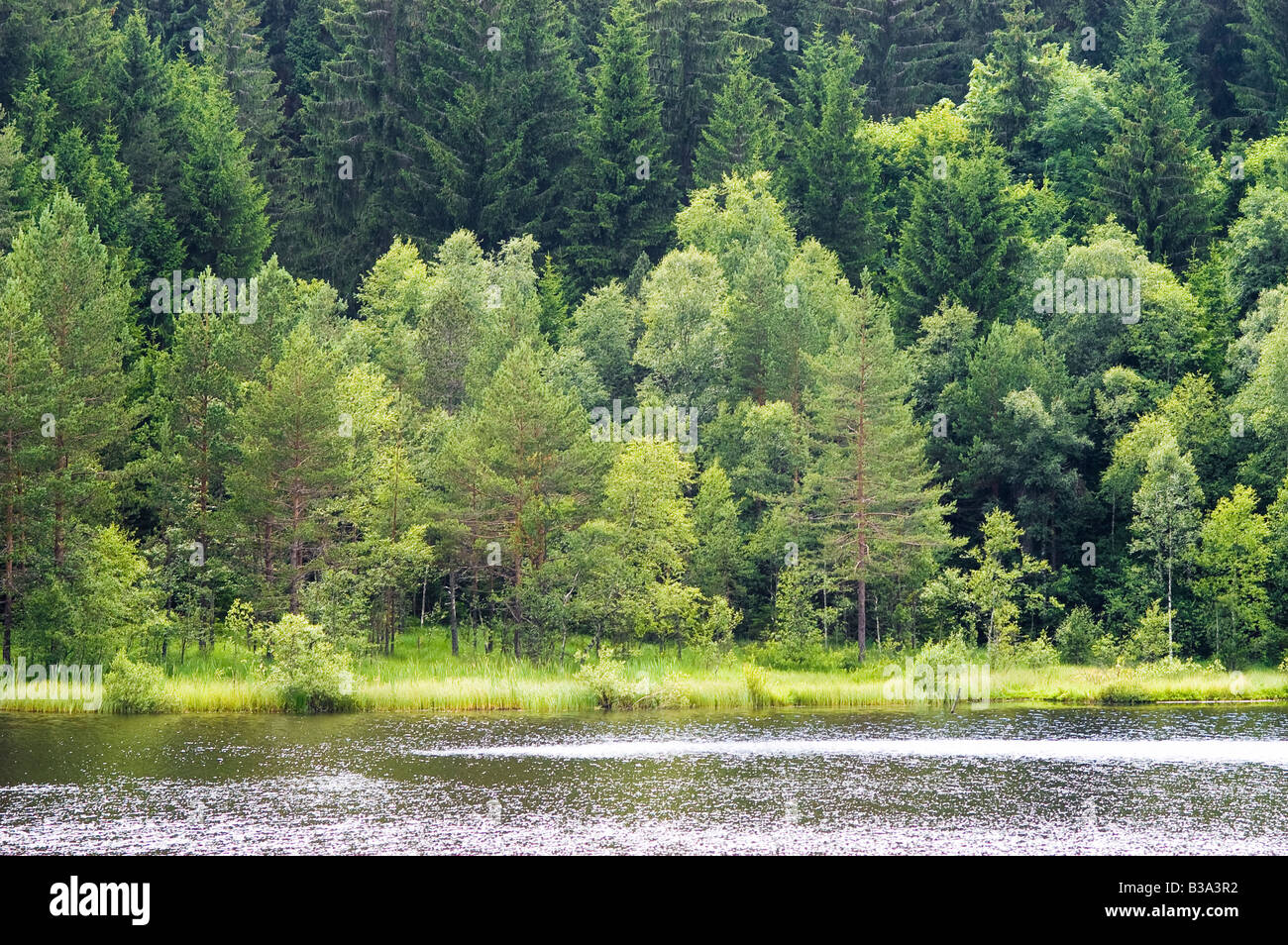 Tranquil lake hi-res stock photography and images - Alamy