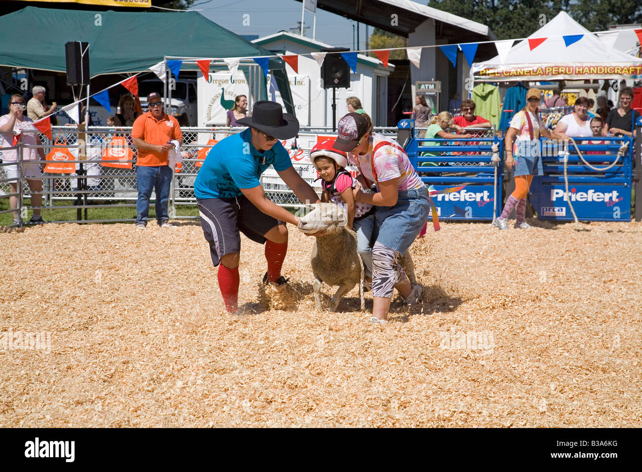 A little Hispanic girl wearing a crash helmet rids a sheep in a small kid s rodeo at the Oregon State Fair Stock Photo