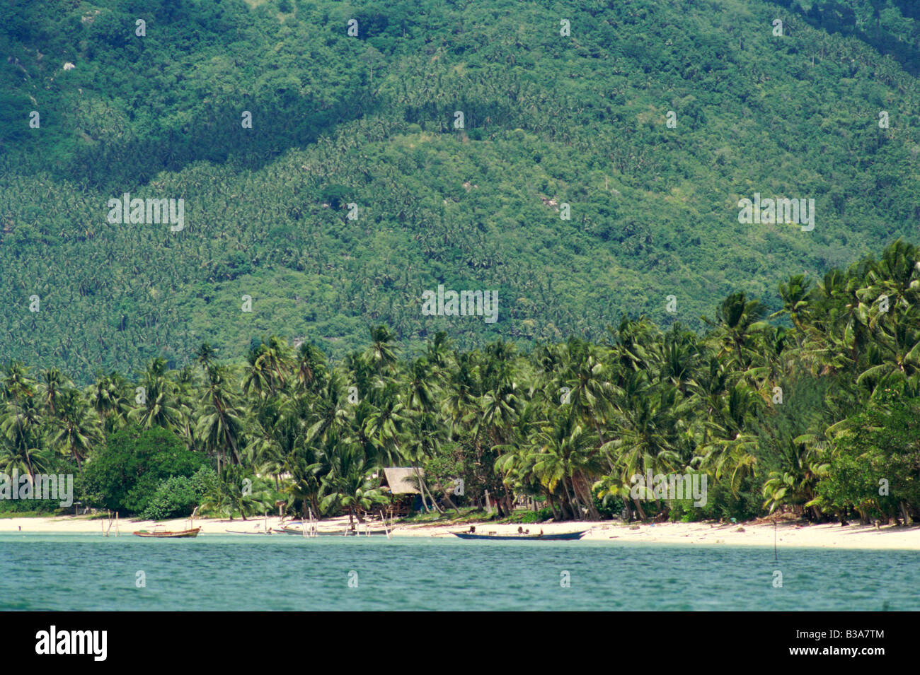Koh Samui, Surat Thani Province, Thailand Stock Photo Alamy Koh Samui, Surat Thani Province, Thailand Stock Photo Alamy