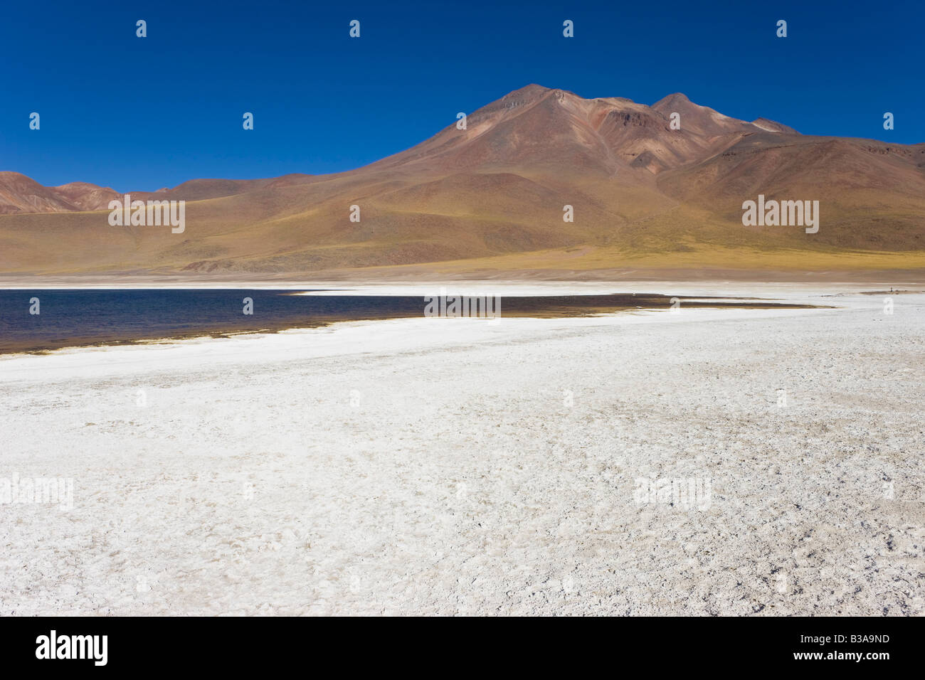 Chile, Norte Grande, Antofagasta Region, Atacama desert, Los Flamencos National Reserve, Laguna Miscanti & Cerro Miniques Stock Photo