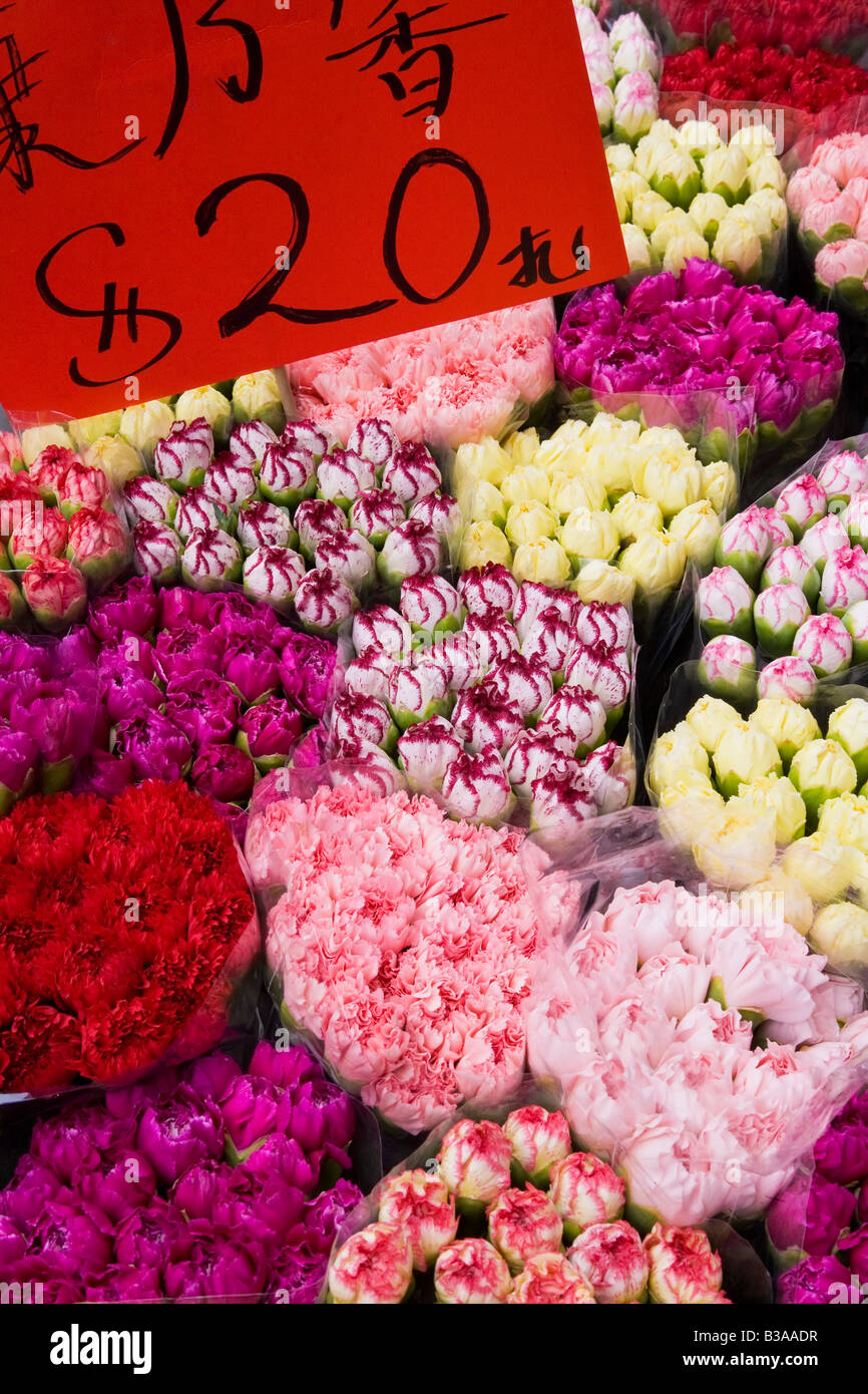 China, Hong Kong, Kowloon, flower market Stock Photo Alamy