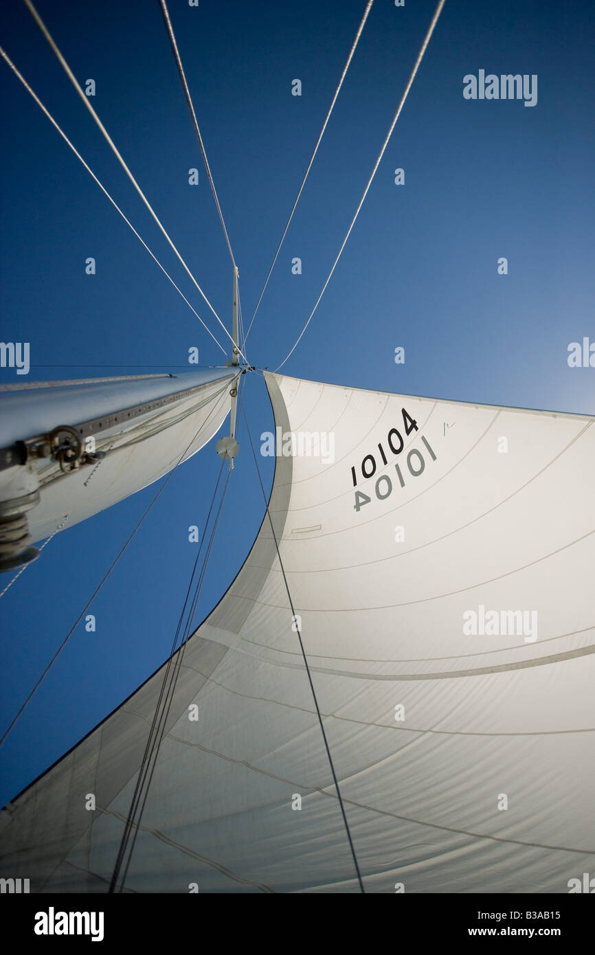 Harvest Moon Regatta, Galveston, Texas, USA Stock Photo Alamy