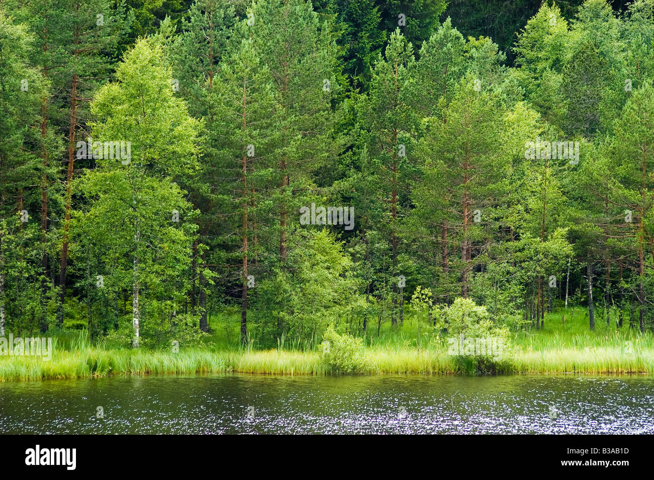 Tranquil lake hi-res stock photography and images - Alamy