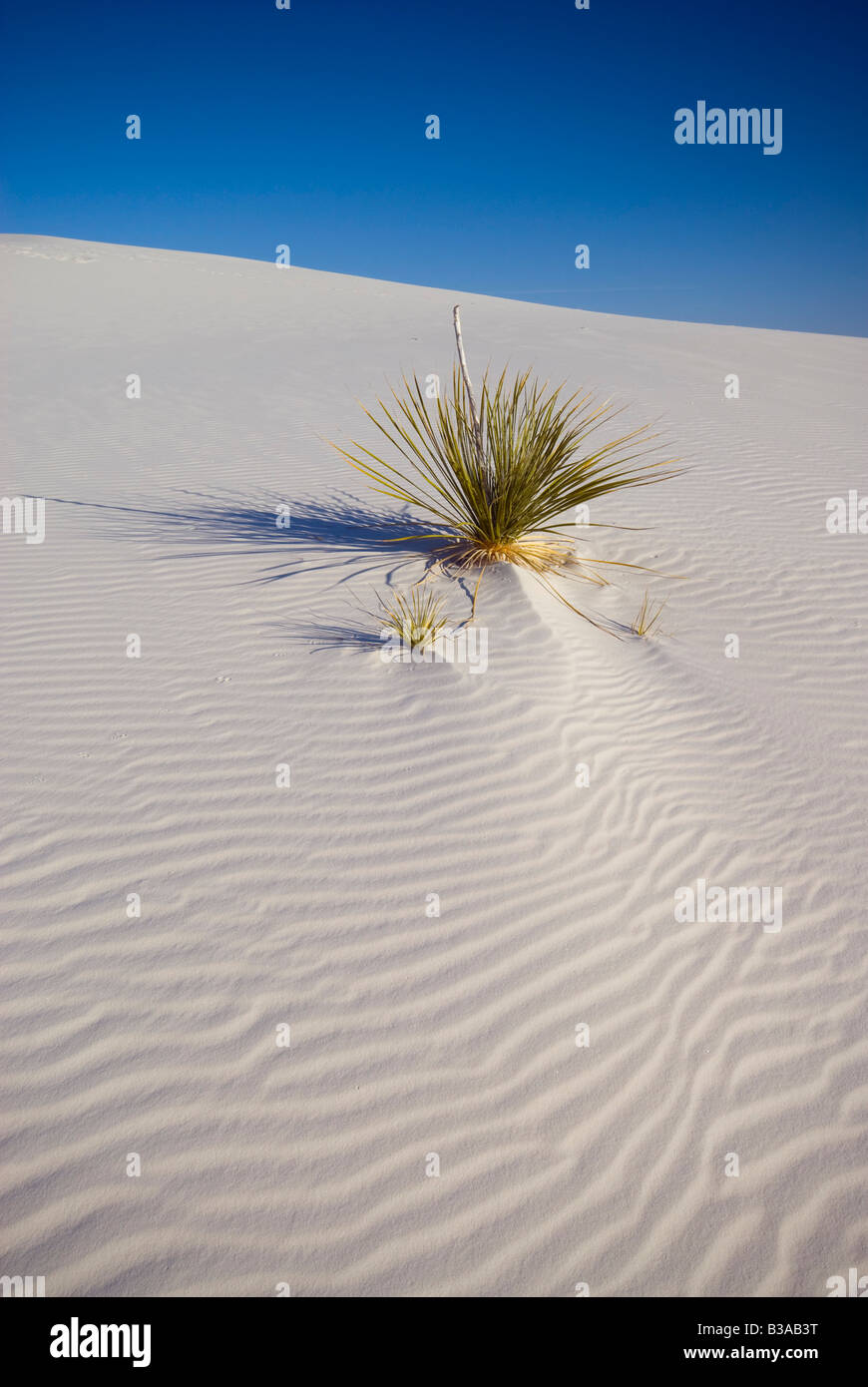 USA, New Mexico, White Sands National Monument Stock Photo