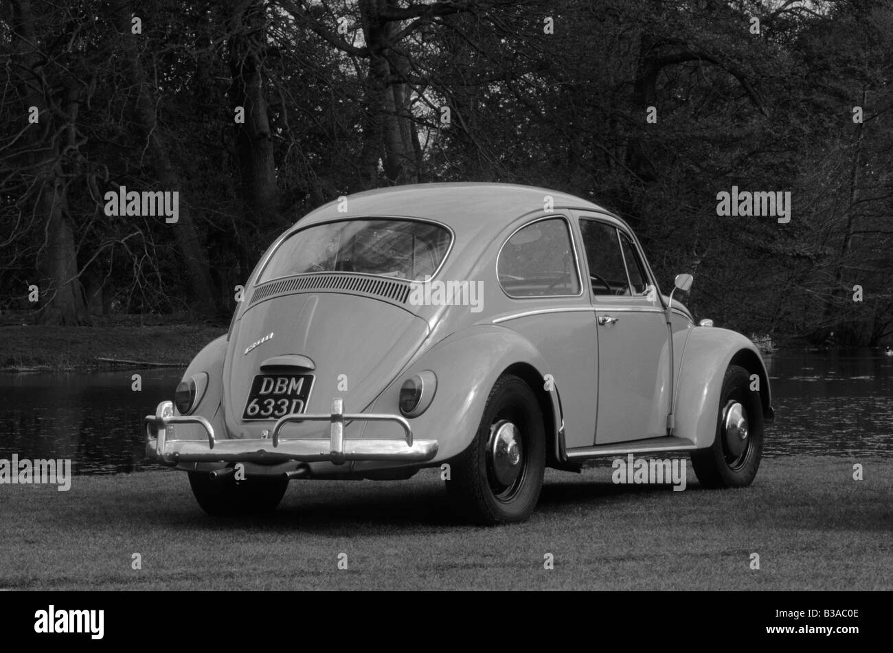 Volkswagen Beetle 1300 of 1966. Stock Photo