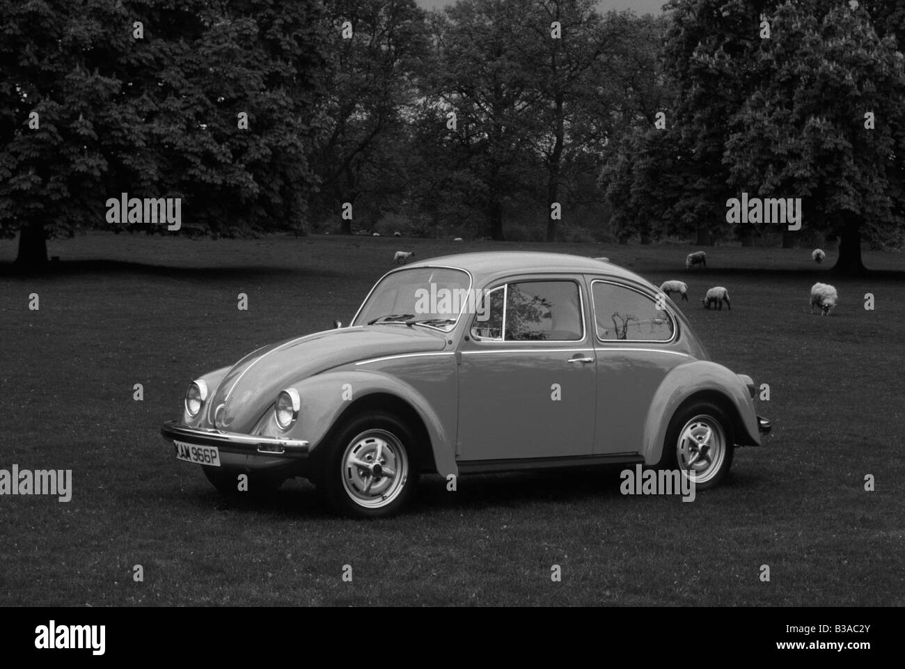 Volkswagen Beetle 1300 of 1975. Stock Photo