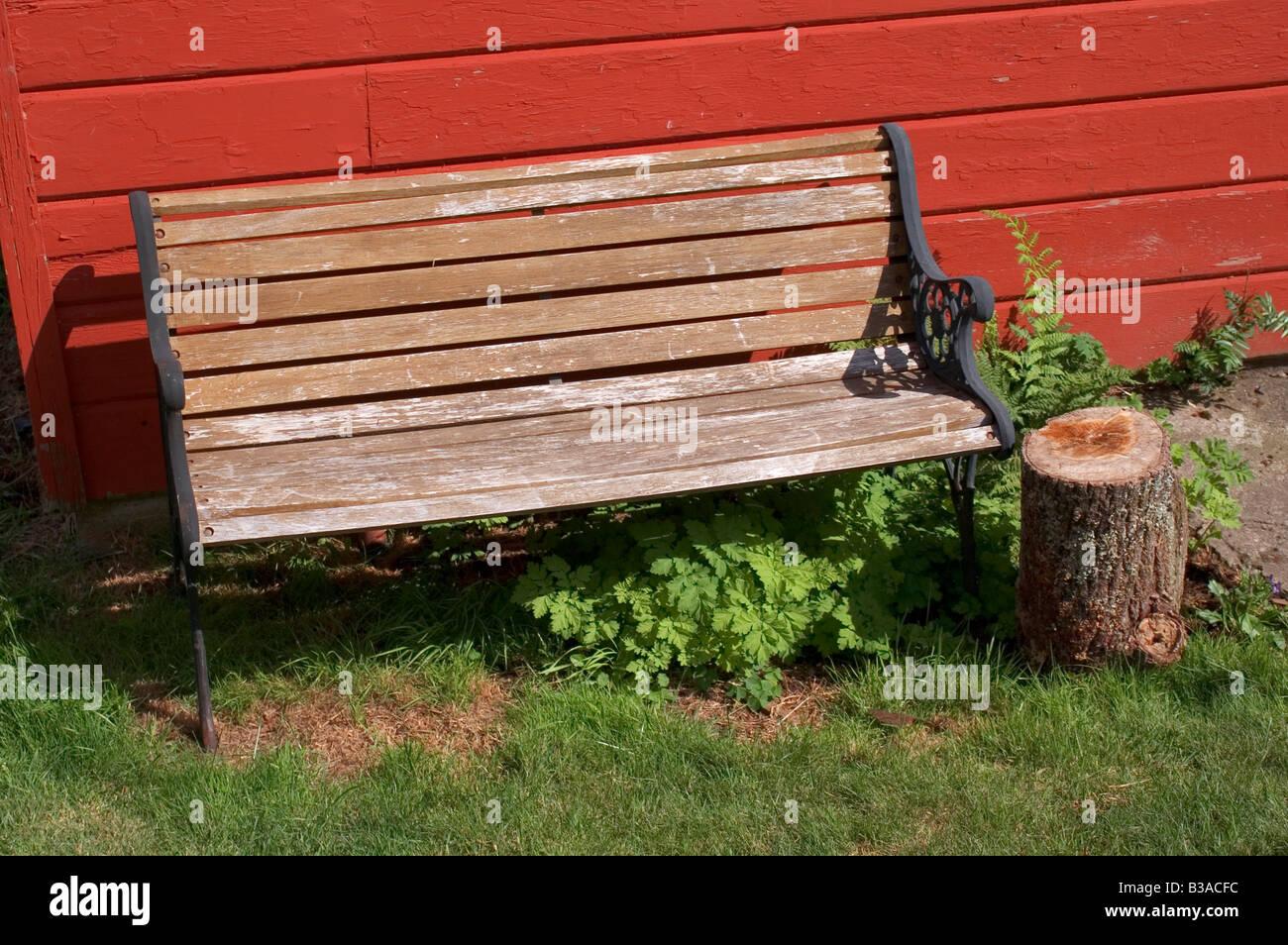 Bench Against Red Wall With Stump And Green Grass Stock Photo