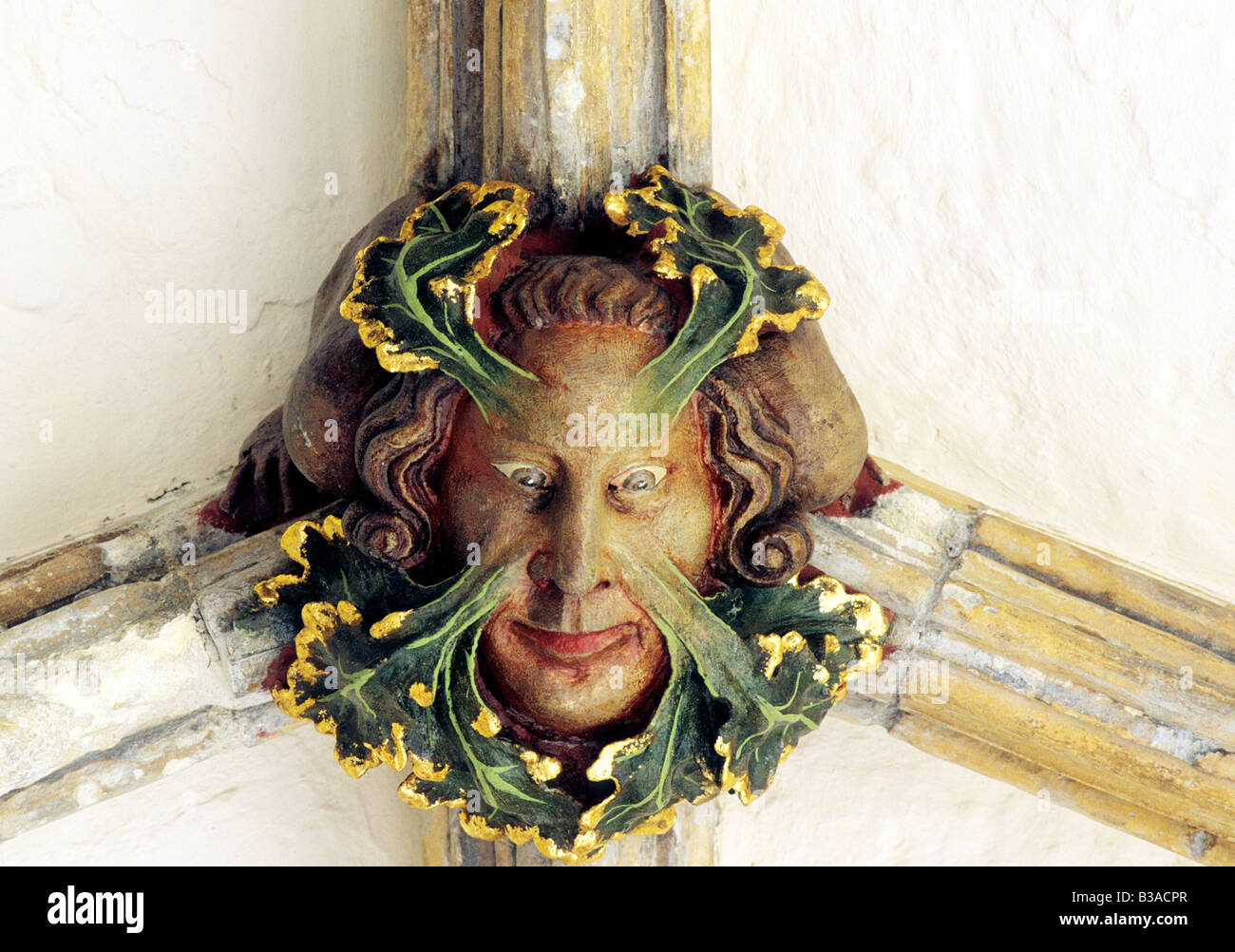 Green Man Norwich Cathedral Cloisters Roof Boss mythical Medieval English figure creature wild man stone carving Norfolk England Stock Photo