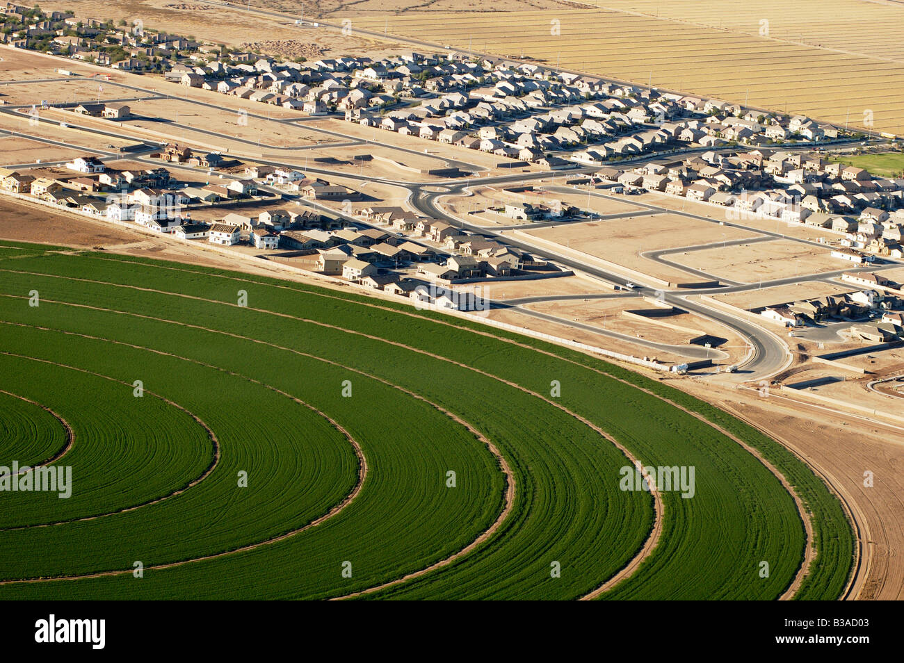 Aerial view of a new housing development on the edge of the farm crops