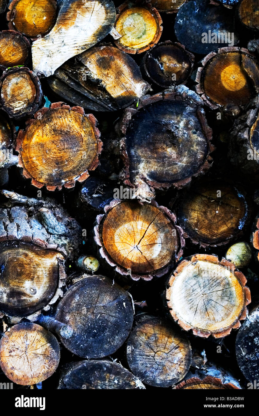 Round of wood hi-res stock photography and images - Alamy