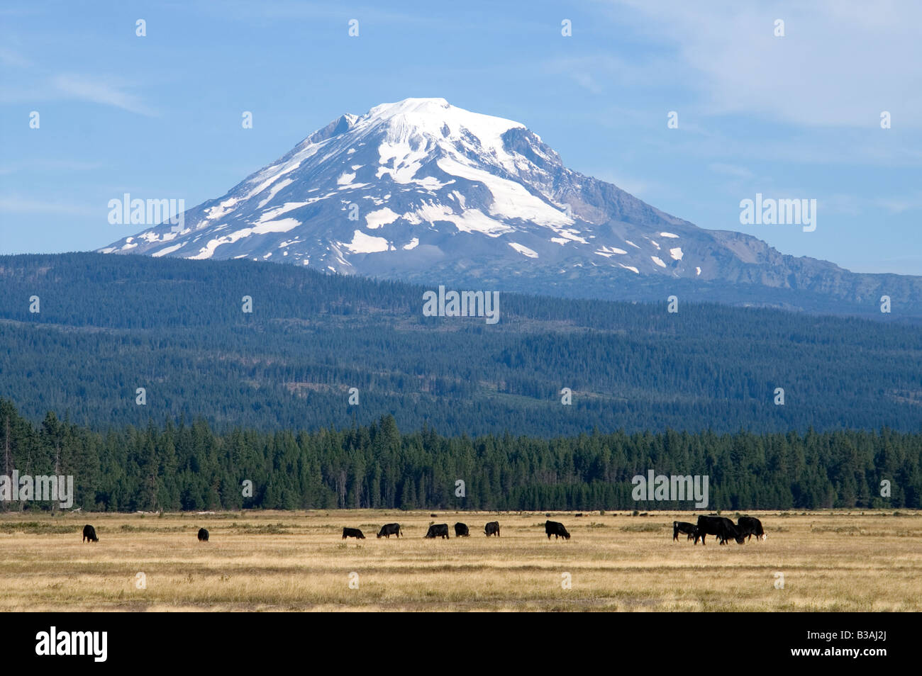 Mt Adams Cascade Mountains Washington State near Conboy Lake National Wildlife Refuge Stock Photo